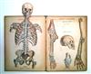 WITKOWSKI, GUSTAVE-JULES-ALPHONSE. Anatomie Iconoclastique.  10 (of 12?) parts.  1879-84